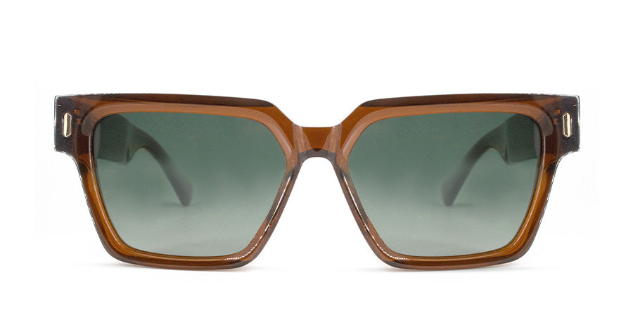 ANT ABOP C6 POLARIZED