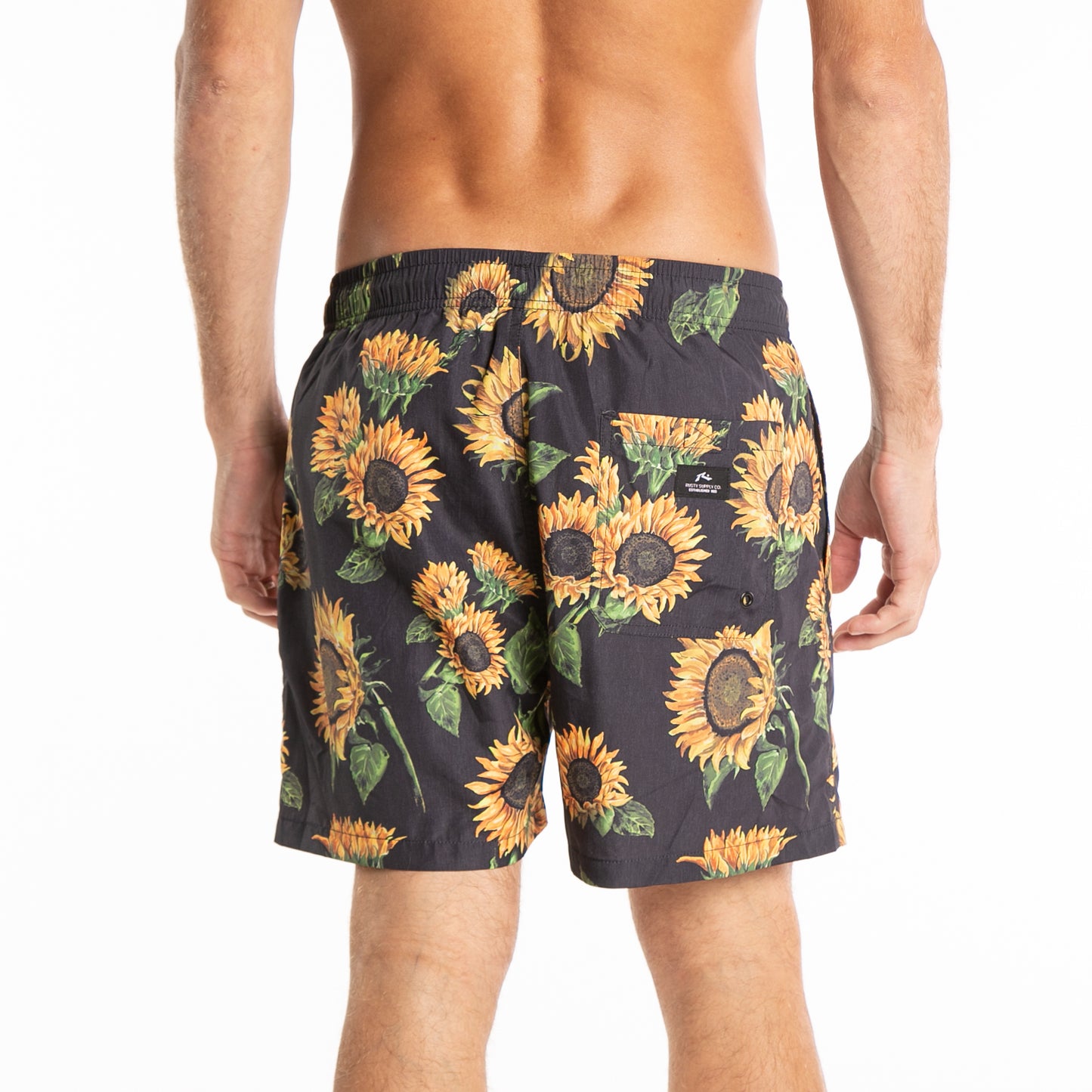 Short Rusty Helianthus Bs* Black