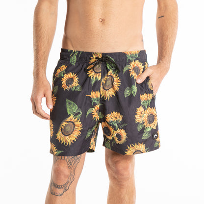 Short Rusty Helianthus Bs* Black