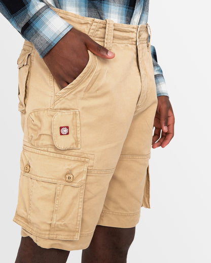 Bermuda Element Source Cargo Short Beige