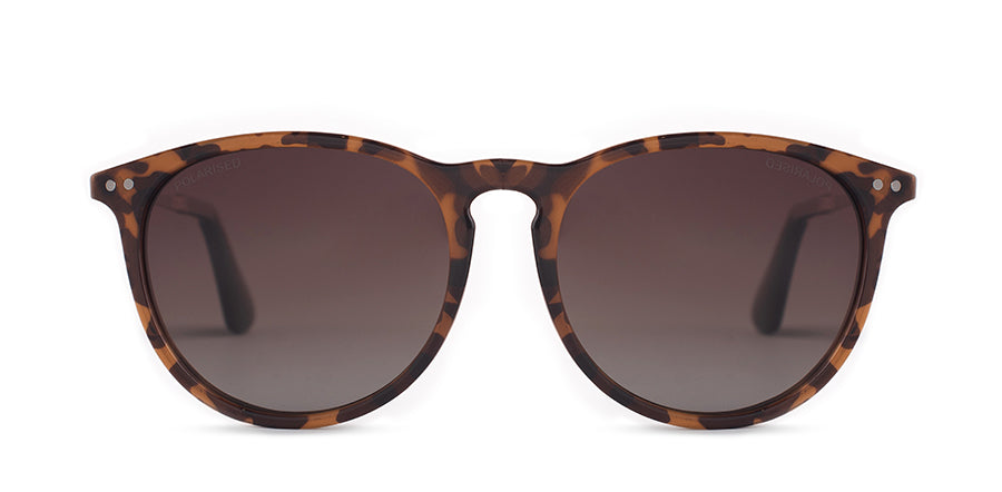 Lentes Rusty Ant Zion F223-J.Gold/Drt02 Polarized * Sin Color