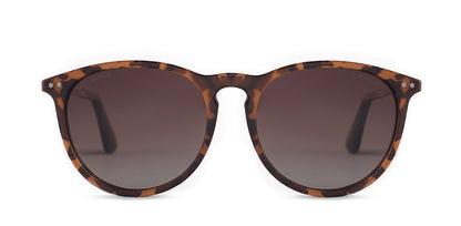 Lentes Rusty Ant Zion F223-J.Gold/Drt02 Polarized * Sin Color