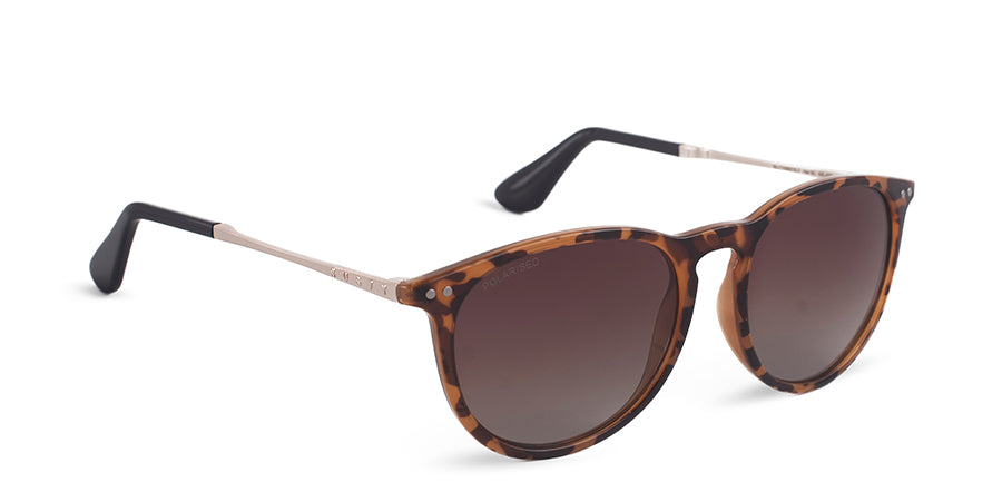 Lentes Rusty Ant Zion F223-J.Gold/Drt02 Polarized * Sin Color